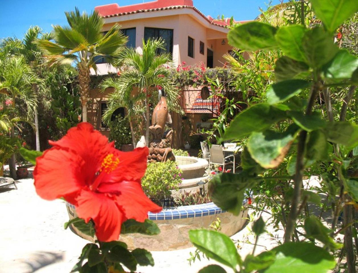 Hacienda De Palmas Bed and Breakfast La Ribera Exteriör bild